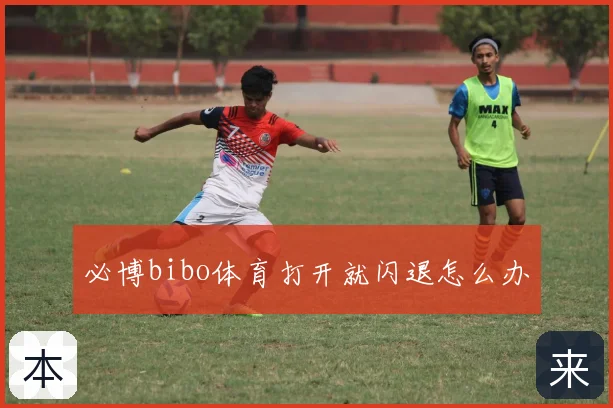 必博bibo体育打开就闪退怎么办