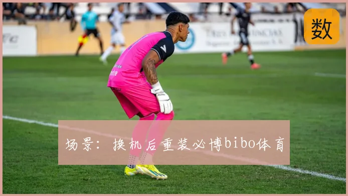 场景：换机后重装必博bibo体育